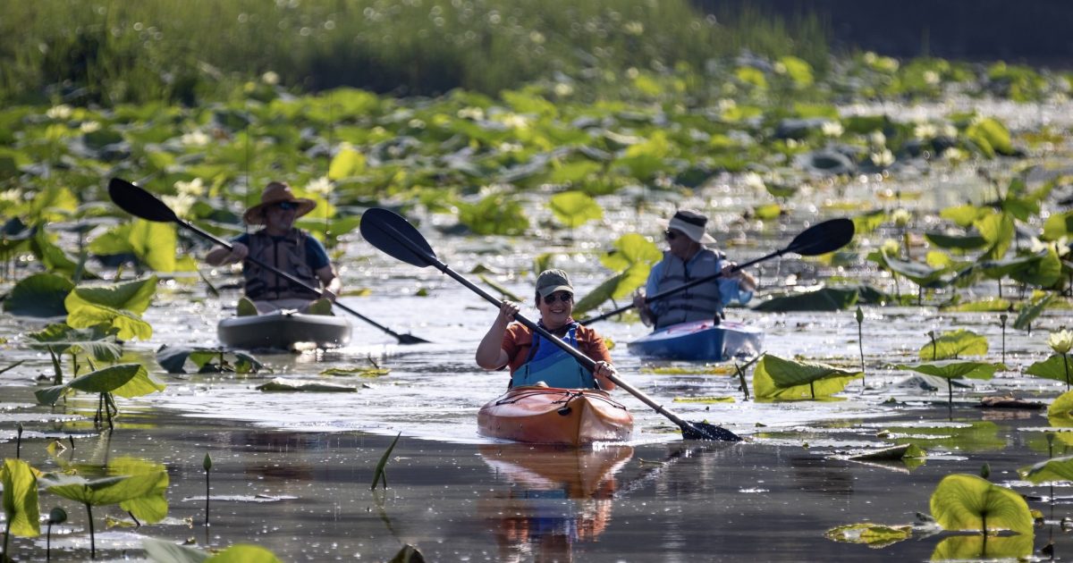 Explore Ridgeland MS